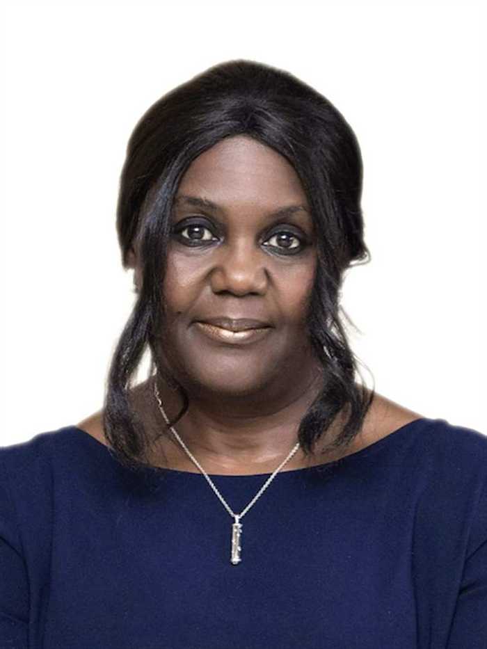 Dr. Roni Ajao, Programme Director, TENS II